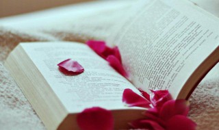 触动人心的文案 这些都适合收藏