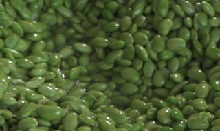 烘青豆方法 可以怎么做呢