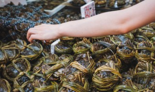 大闸蟹该怎么吃才是正确的 最简单的吃法是这样的