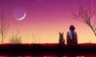 仰望明月的句子 关于仰望明月的经典句子