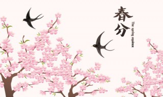 写春天的句子或诗 写春天的句子或诗精选