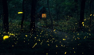 描述夜长的句子 描述夜长的句子集锦