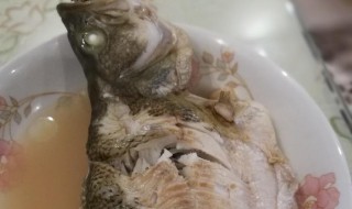 怎样做鱼泥不腥 怎样做鱼泥不腥的做法