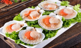 扇贝做法与步骤 扇贝的做法介绍