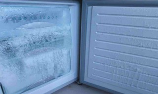 冰箱解冻最快方法 冰箱解冻最快方法推荐