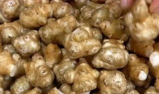 洋姜现腌的方法 怎么做最简单呢