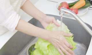 择菜和洗菜的小窍门 洗菜也有大学问