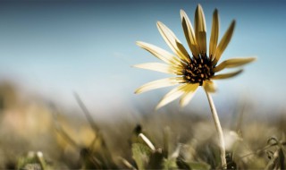 秋天励志心灵鸡汤经典语录 有什么励志的说说