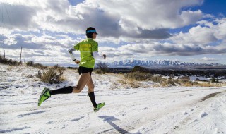 迎风奔跑的经典语录 迎风奔跑的经典语录列述