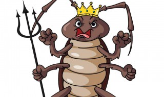 除掉蟑螂的快速方法 除掉蟑螂的快速方法有哪些