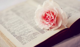 形容灵魂碰撞的经典语录 表达灵魂碰撞的说说