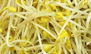 家庭生黄豆芽的方法 家庭如何生黄豆芽