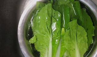 青菜怎么洗干净 刚买的青菜怎么洗