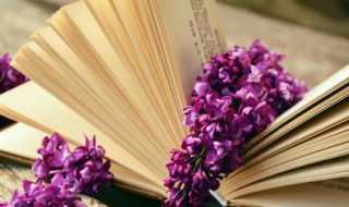 喝茶的说说 喝茶的心情说说