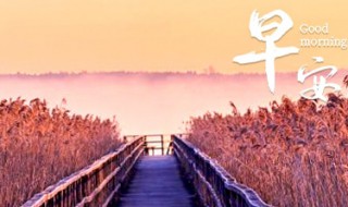 2020年最火的早安句子 2020年最火的早安句子精选