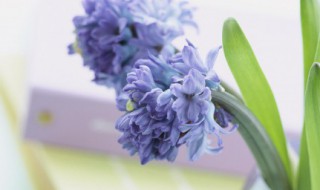 温柔到爆的短句子 简短温柔的句子