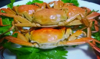 螃蟹制作方法 螃蟹制作方法简述