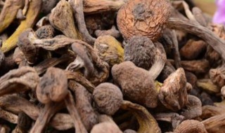 东北有什么好吃的特产 东北的特产有哪些