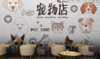 特别一点宠物店名字 特别一点宠物店名字有哪些