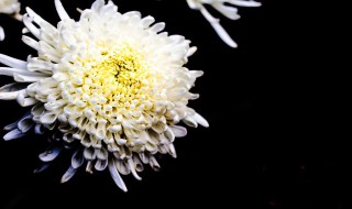 爷爷去世孙女心情短语 爷爷去世孙女心情短语列述