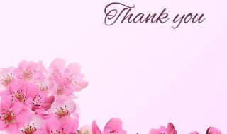 感恩顾客的简短的句子 关于感恩客户的优美句子