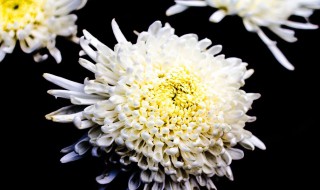 女儿写给天堂父亲的话 女儿写给天堂父亲的话列述