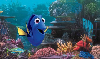 海底世界简短小故事 海底世界简短小故事分享