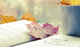 个性签名英文唯美简短 唯美的英文个性签名？