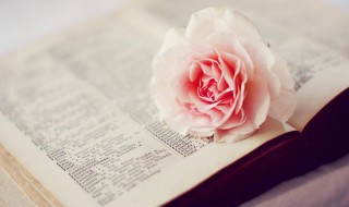 早上好的问候语简短 适合早上好的问候语