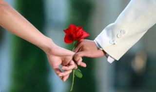 表达爱情的句子简短的 有什么表达爱情的说说