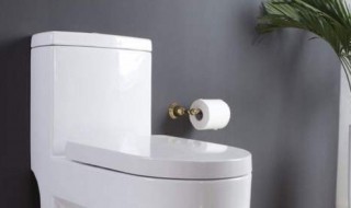 马桶怎么洗 洗马桶的妙招