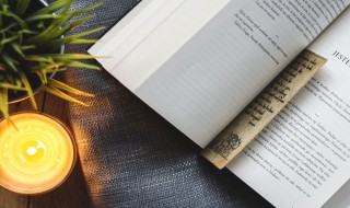 2020最撩情话 史上最撩人情话