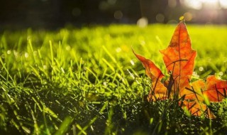 走走逛逛心情说说 走走逛逛的心情说说列述