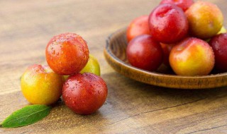 李子罐头家庭自制法 李子罐头家庭自制法简述