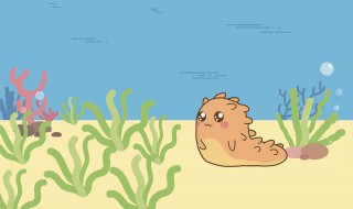 海参怎么去腥味妙招 海参去腥味的方法