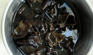 木耳泡多久 木耳泡发的时间