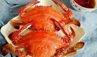 梭子蟹怎么洗最干净 需要准备什么材料呢