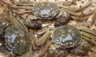 如何清洗大闸蟹才干净 怎么清洗大闸蟹