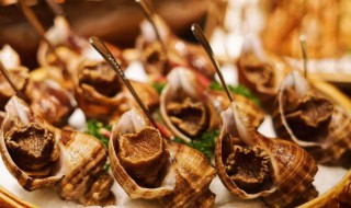 海螺煮多久能吃 海螺要煮多长时间