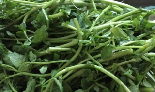 西洋菜要怎么洗 洗西洋菜的方法