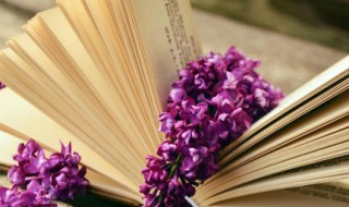 十句简短情话 小清新句子最动人的情话