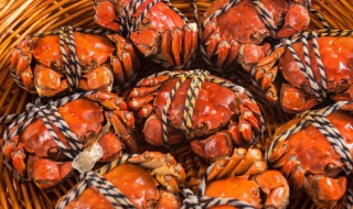 吃螃蟹方法 吃螃蟹的方法分享