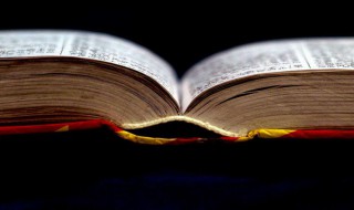 带是什么结构 带是上下构