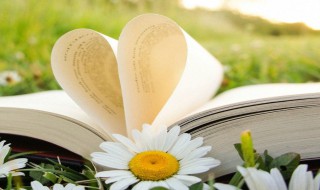 楚字取名的寓意 楚字取名的寓意是什么