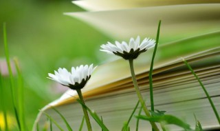 十字最美早安短句 十字最美早安短句有哪些