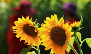 2020的幸运昵称 2020的幸运昵称有哪些