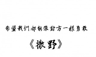撒野经典句子 撒野经典语录