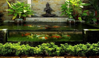 鱼池做防水的最好方法 鱼池做防水的最好方法简述