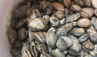 活花甲怎么放冰箱保存 花甲的介绍