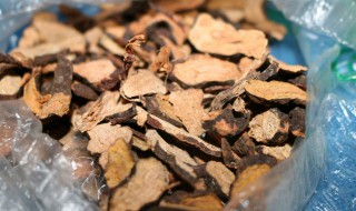 何首乌洗头的正确方法 正确洗头方法如下